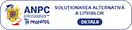 Cedrus Bran Boutique | Cazare Pensiune Bran | Cazare hotel Bran | Oferta cazare Bran | Cazare vila Bran | Cazare in Bran | Cazare guesthouse Bran | Cazare Bran | Cazare Moieciu | Cazare Pensiune Moieciu | Cazare vila Moieciu | Cazare in Moieciu