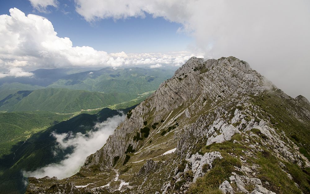 Cedrus Bran Boutique | Cazare Pensiune Bran | Cazare hotel Bran | Oferta cazare Bran | Cazare vila Bran | Cazare in Bran | Cazare guesthouse Bran | Cazare Bran | Cazare Moieciu | Cazare Pensiune Moieciu | Cazare vila Moieciu | Cazare in Moieciu