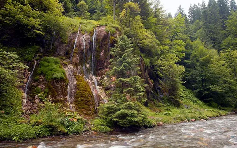 Cedrus Bran Boutique | Cazare Pensiune Bran | Cazare hotel Bran | Oferta cazare Bran | Cazare vila Bran | Cazare in Bran | Cazare guesthouse Bran | Cazare Bran | Cazare Moieciu | Cazare Pensiune Moieciu | Cazare vila Moieciu | Cazare in Moieciu