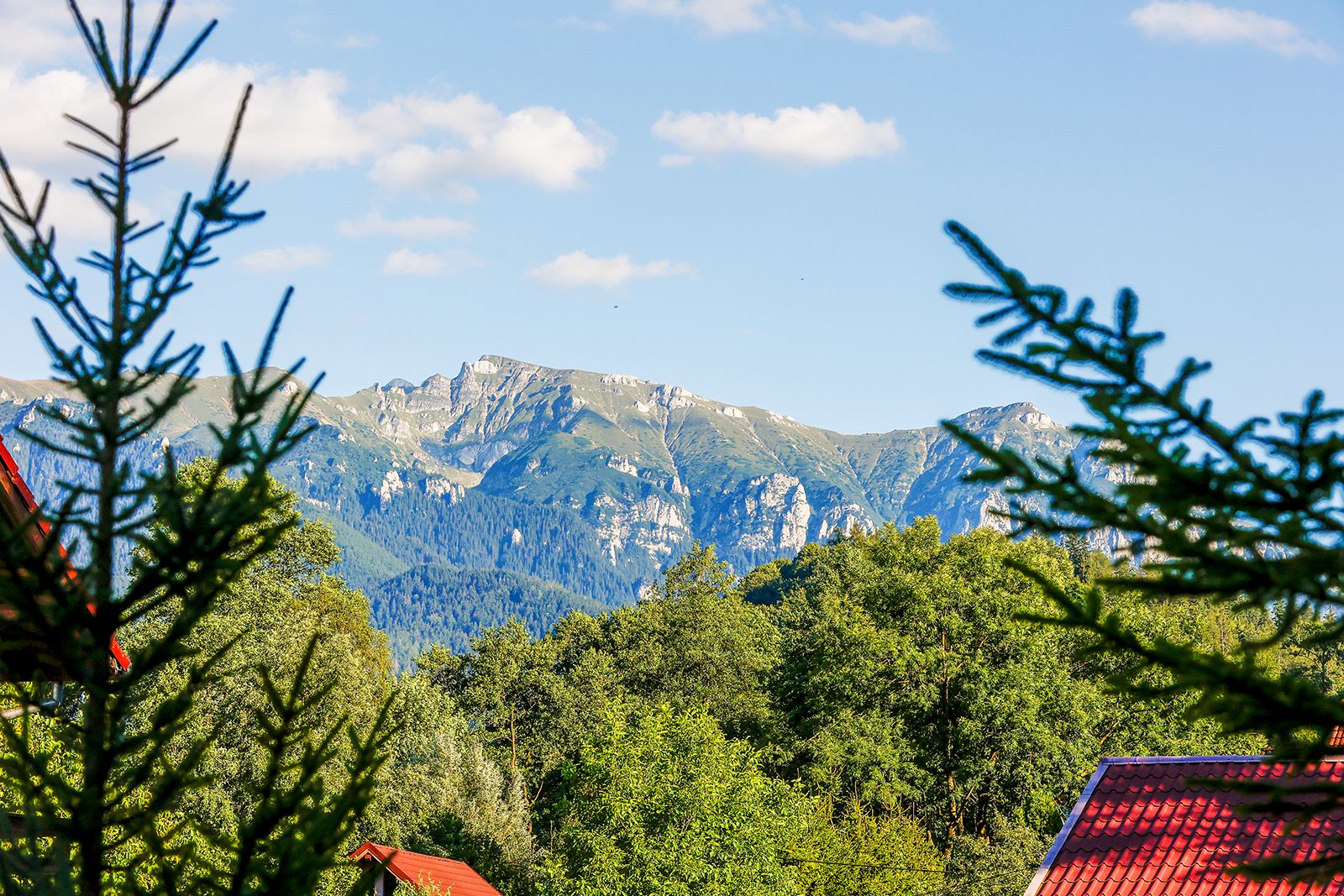 Cedrus Bran Boutique | Cazare Pensiune Bran | Cazare hotel Bran | Oferta cazare Bran | Cazare vila Bran | Cazare in Bran | Cazare guesthouse Bran | Cazare Bran | Cazare Moieciu | Cazare Pensiune Moieciu | Cazare vila Moieciu | Cazare in Moieciu